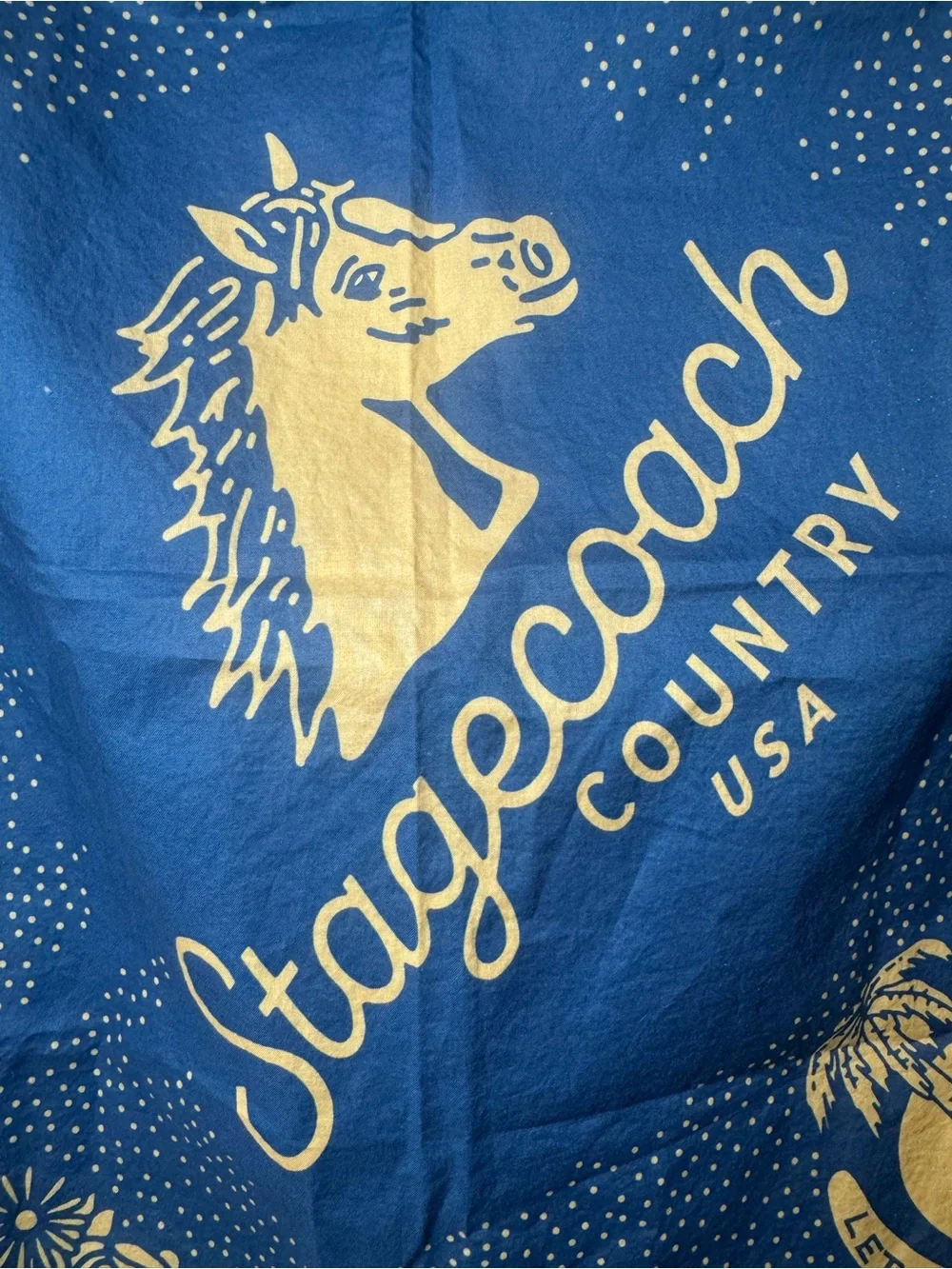Stagecoach Blue & Yellow Bandana woman’s